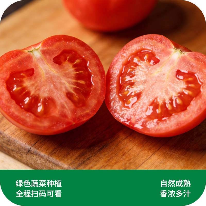 番茄
